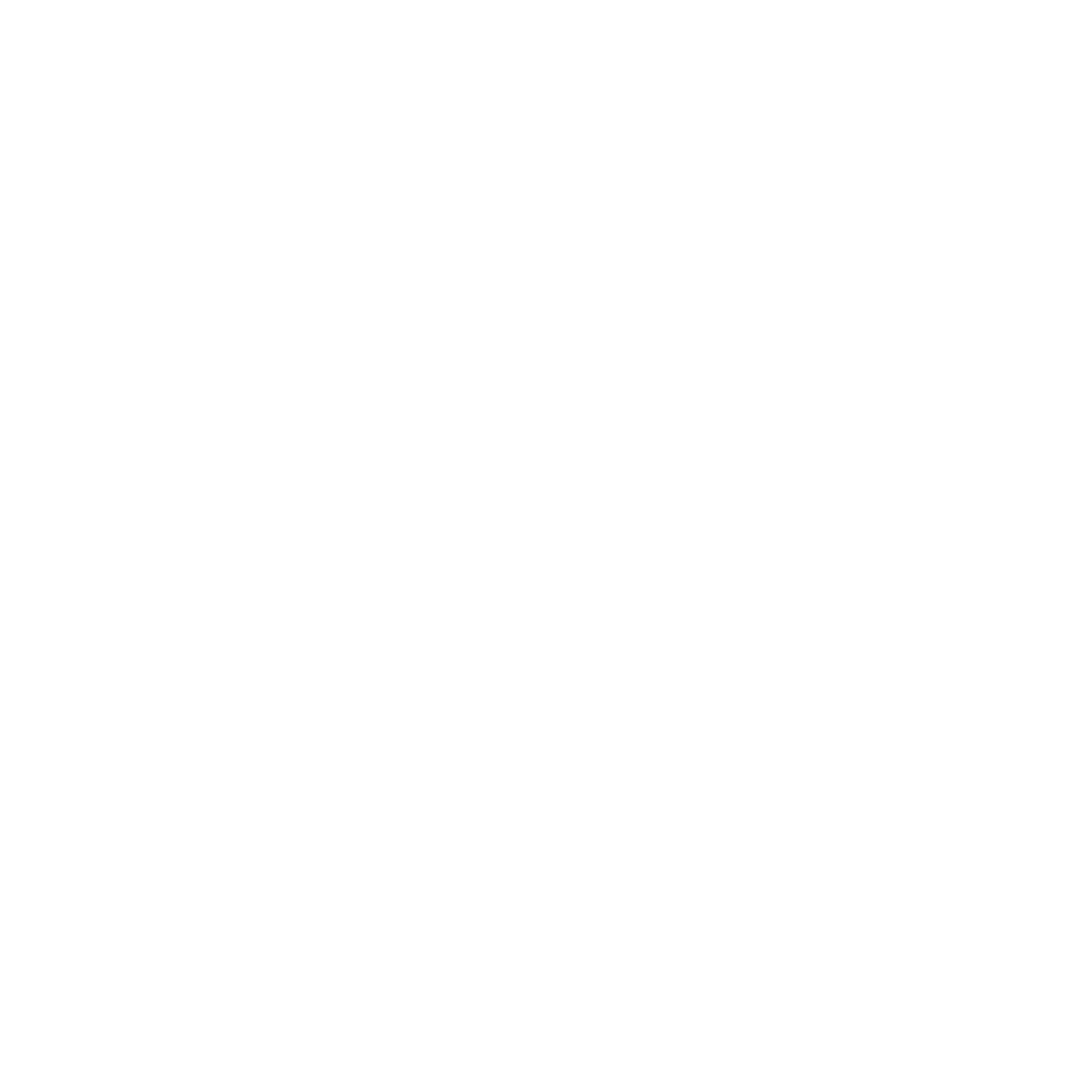 STG Logo
